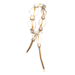 Chiara Shore Bracelet