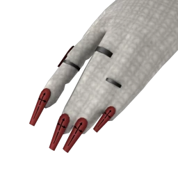 Elska Dark Shrine Nails