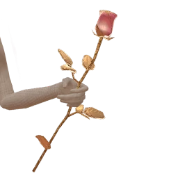 Cosmos Eternal Bloom Rose