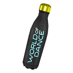 World of Dance Insulating Water Bottle