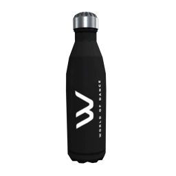 World of Dance Water Bottle