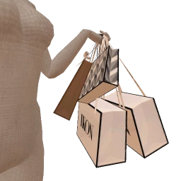 Ikon Shopping Haul Paper Bags