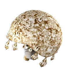 Mon Coeur Diamond Bloom Bouquet