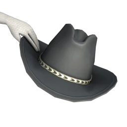 USAesthetic Cowgirl Hat Prop