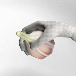 Garlic 