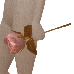 La Haute Couture Soft Pink & Gold Rose