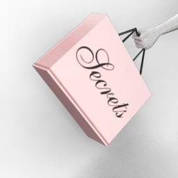 Secrets Shopping Bag
