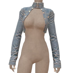 USAesthetics High Neck Detailing Denim Jacket