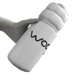 World of Dance Sports Bottle