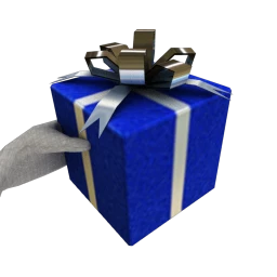 Christmas Gift - Blue