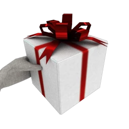 Christmas Gift - White