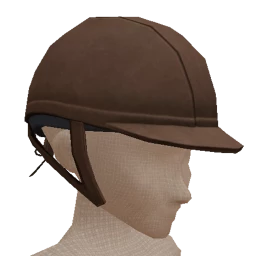 Cosmos Horse Riding Helmet