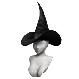 Cosmos Wicked Witch Hat
