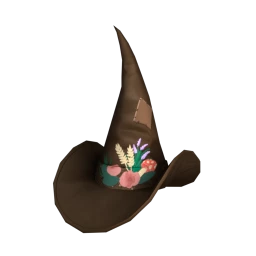 Cosmos Nature Witch Hat
