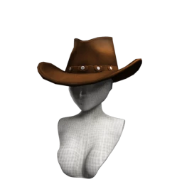 Wild Wild Western Hat