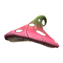 Cosmos Funky Fungi Hat