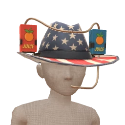 USAesthetics Cowboy Drinking Juice Box Hat