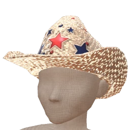 USAesthetics Silver USA Cowboy Hat