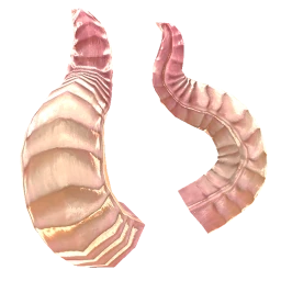 Cosmos Pink Greatest Of All Time Horns