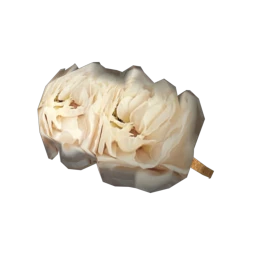 Foal Woodland Fairy Flower Crown