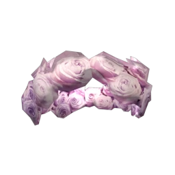 Foal Rose Meadow Flower Crown