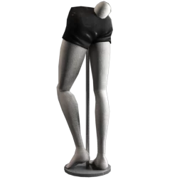 Cosmos Bunny Tail Shorts