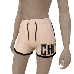 Drop Science Chicago Shorts