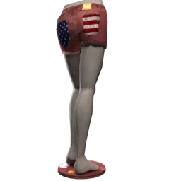 Stars and Stripes Shorts