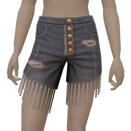 USAesthetics Bit Country Denim Shorts
