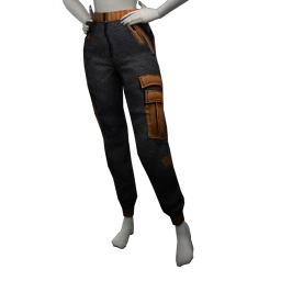 USAesthetics On The Ranch Cargo Pants