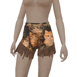 USAesthetics Kitten Ripped Shorts