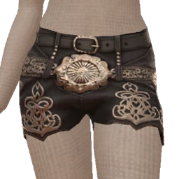 USAesthetics Midnight Rider Shorts