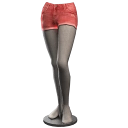 High Waist Denim Shorts