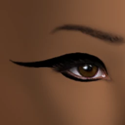 Wing Game on Point Eye Liner