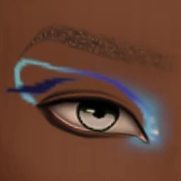 Flawless Shay Eye Make Up