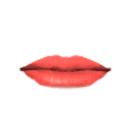 Rosebud Lips
