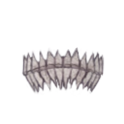 Black Rainbow Skulltooth