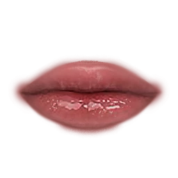Flawless Subtle Kiss Lips