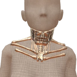 Cosmos Metallic Bone Structure Necklace