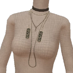 Drop Science Silver Metal Dog Tag Chain Necklace