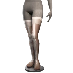 Foal Bony Beauty Stockings