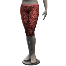 Leopard Print Knee Length Tights