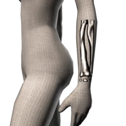 Bone Chilling Sleeve Tattoo