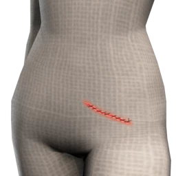 Cosmos Zombie Wounds - Stitches