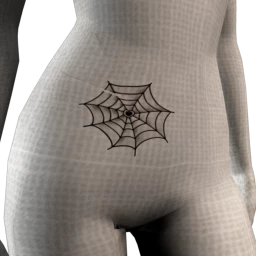 Spider Web Tattoo