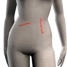 Cosmos Zombie Wounds - Stitches