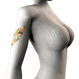 Whimsical Feather Tattoo