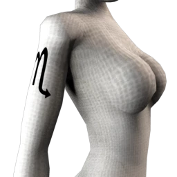 Zodiac Scorpio Tattoo