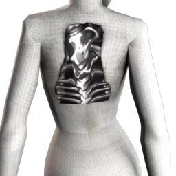 X-Ray Back Tattoo