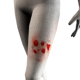 Cosmos Zombie Wounds - Sores